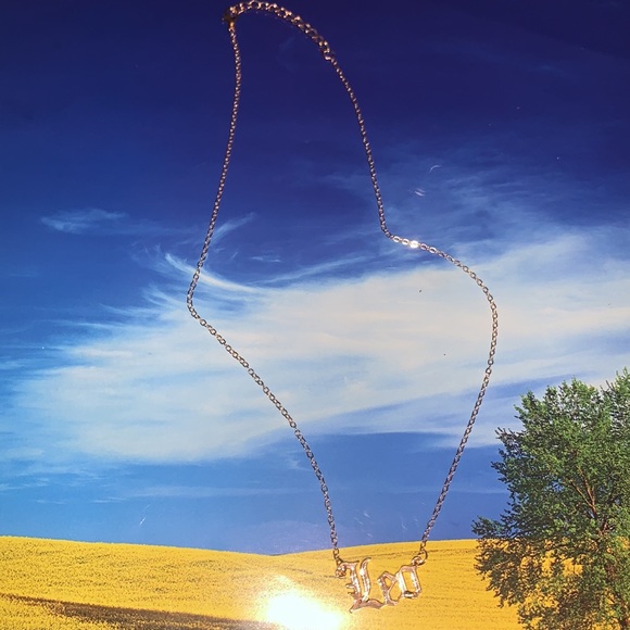 🌻 (5 items for $15) Leo charm Necklace - Picture 5 of 13